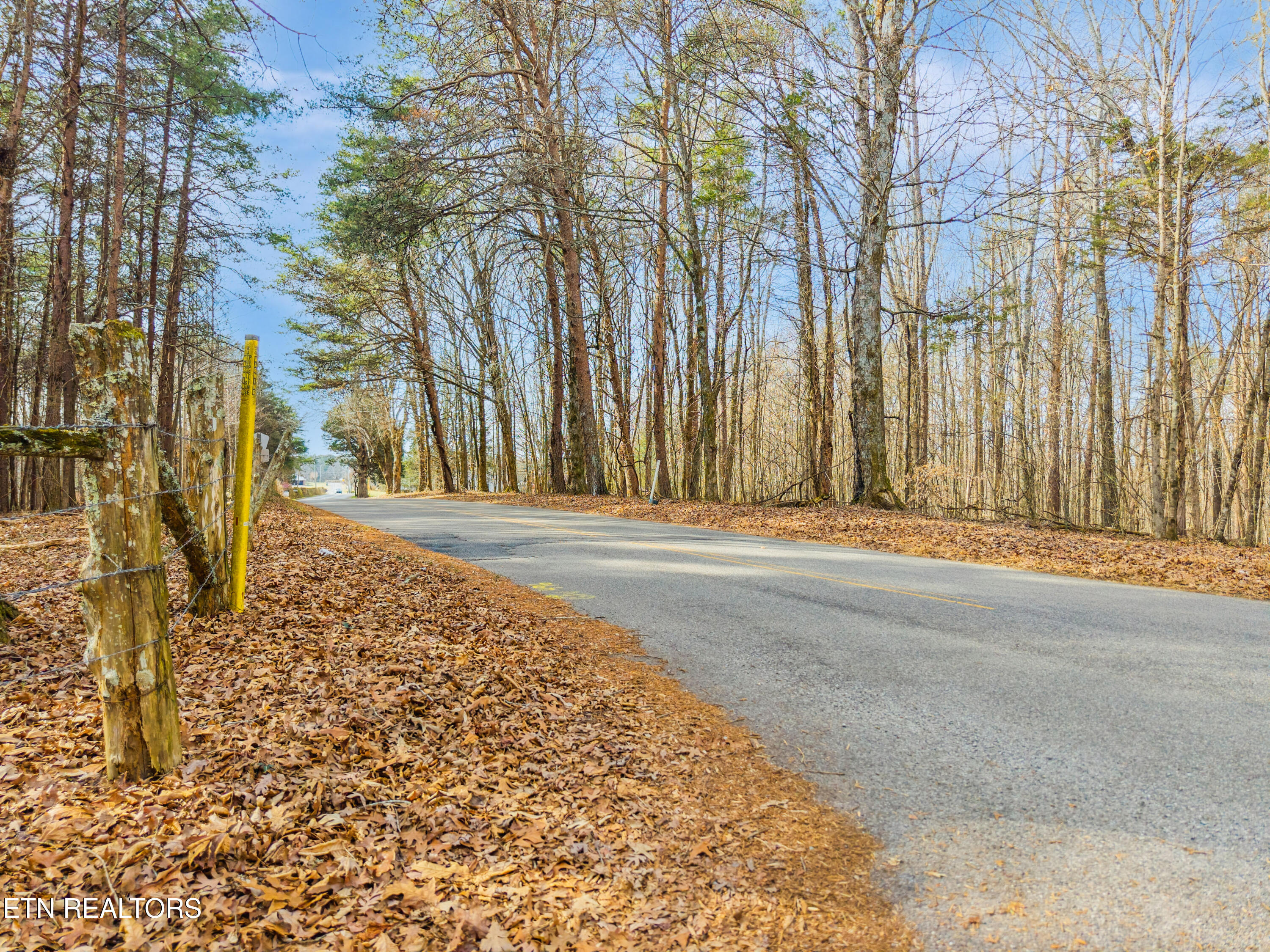 260 Co Road Niota, TN 37826 - Photo 7 of 12 Road view