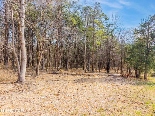 $62,000 | 260 Co Road, Niota, TN 37826