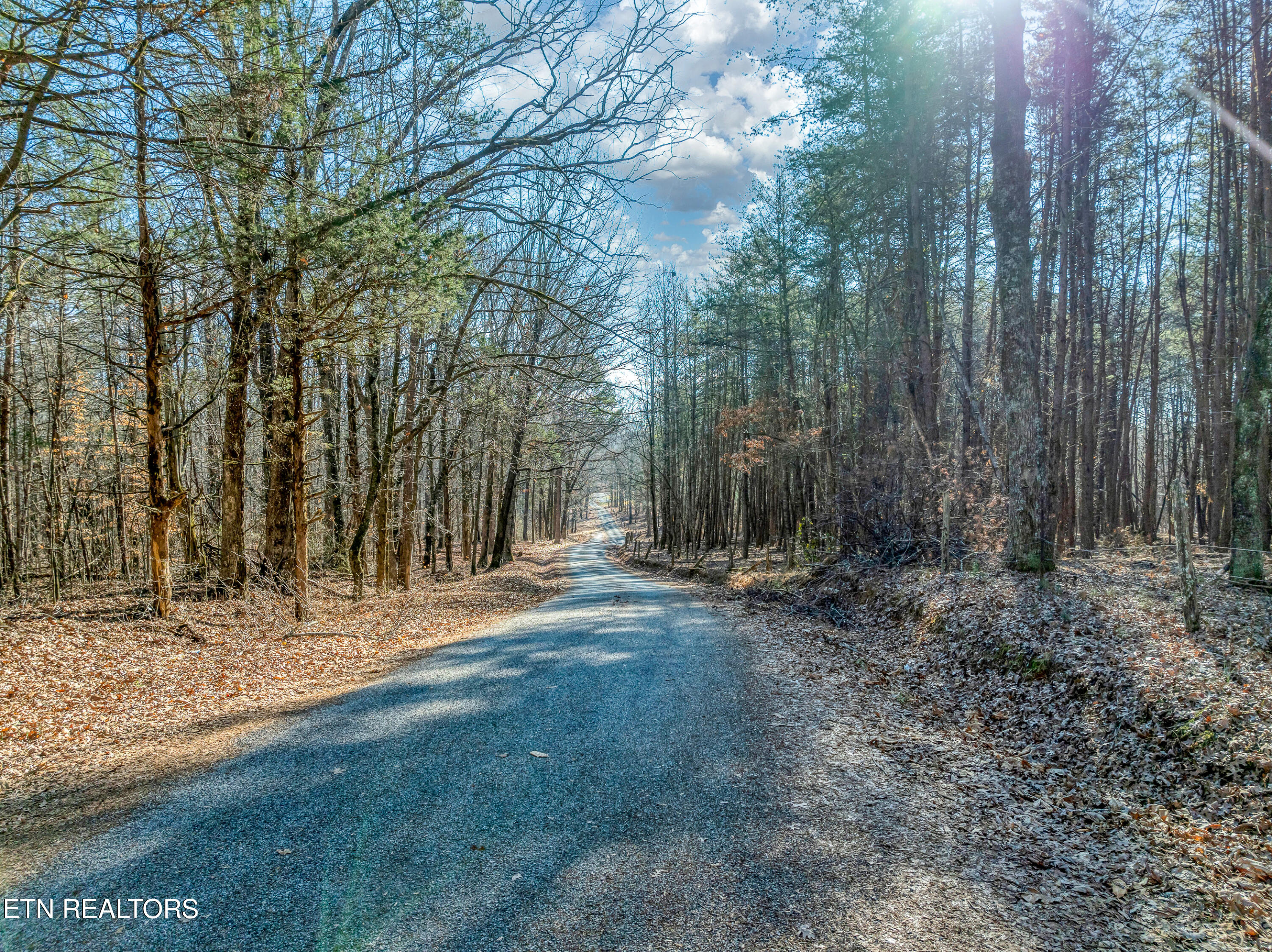 260 Co Road Niota, TN 37826 - Photo 10 of 12 DJI_0574