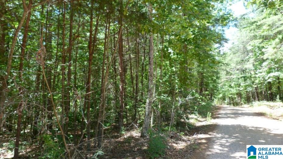 Indian Creek Road, Unit 26 Lineville, AL 36266 - Photo 1 of 4