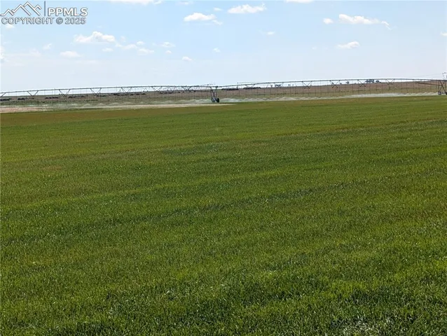 a view of an ocean and beach