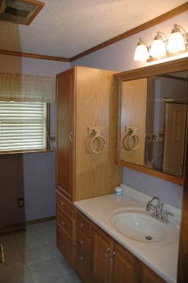 7868 South Sugar Island Road Chebanse, IL 60922 - Photo 7 of 12 a bathroom with a sink mirror and a shower
