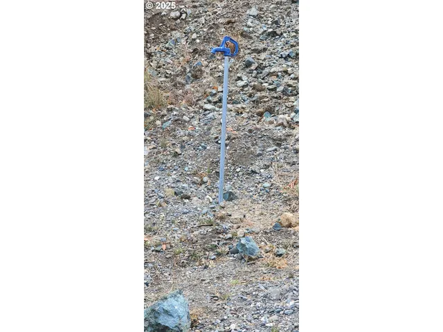 a living room with a rug