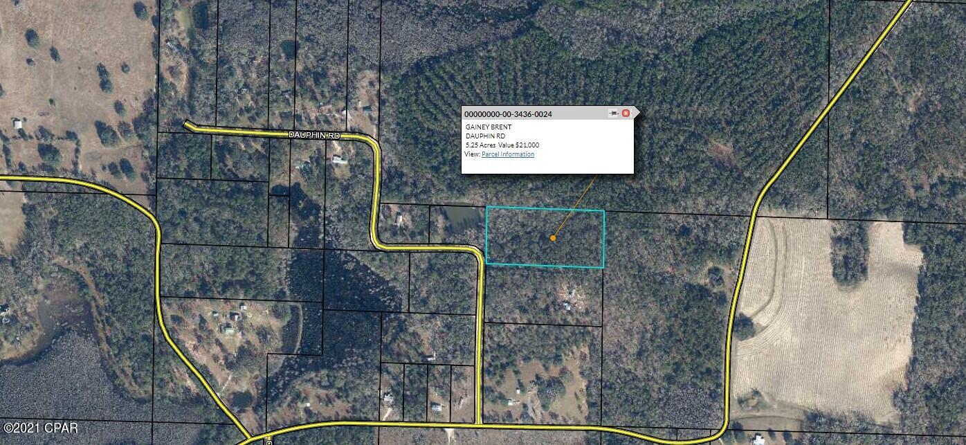 0 Dauphin Road Bonifay, FL 32425 - Photo 3 of 6