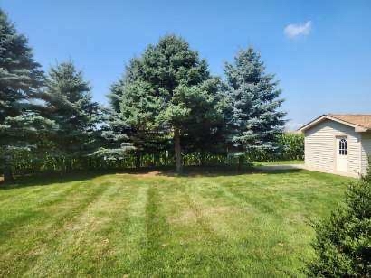 2867 East 752nd Road Utica, IL 61373 - Photo 22 of 23 a backyard of a house with lots of green space