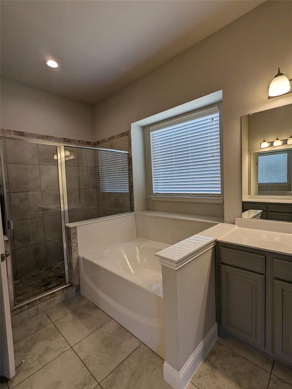 3741 Cecelia Lane Forest Hill, TX 76140 - Photo 11 of 16 a bathroom with a tub sink and mirror