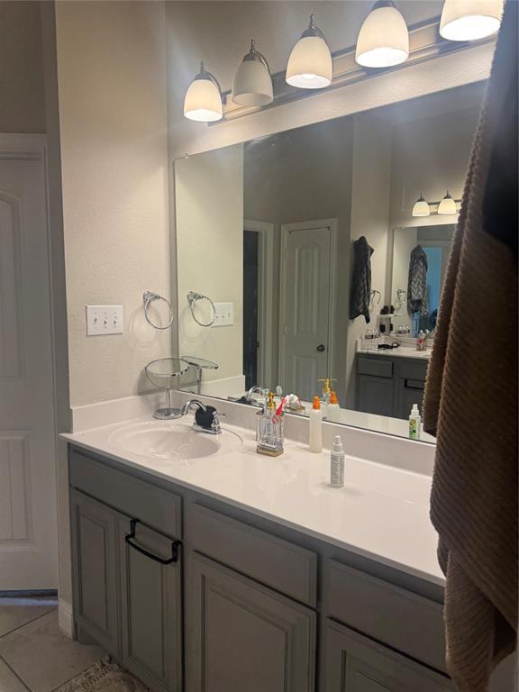 3741 Cecelia Lane Forest Hill, TX 76140 - Photo 10 of 16 a bathroom with a sink a large mirror and a light fixture a closet