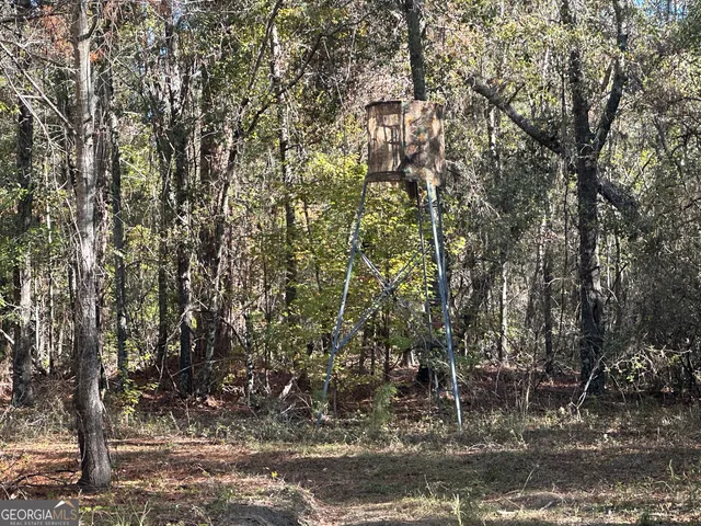 a view of dirt yard with green space