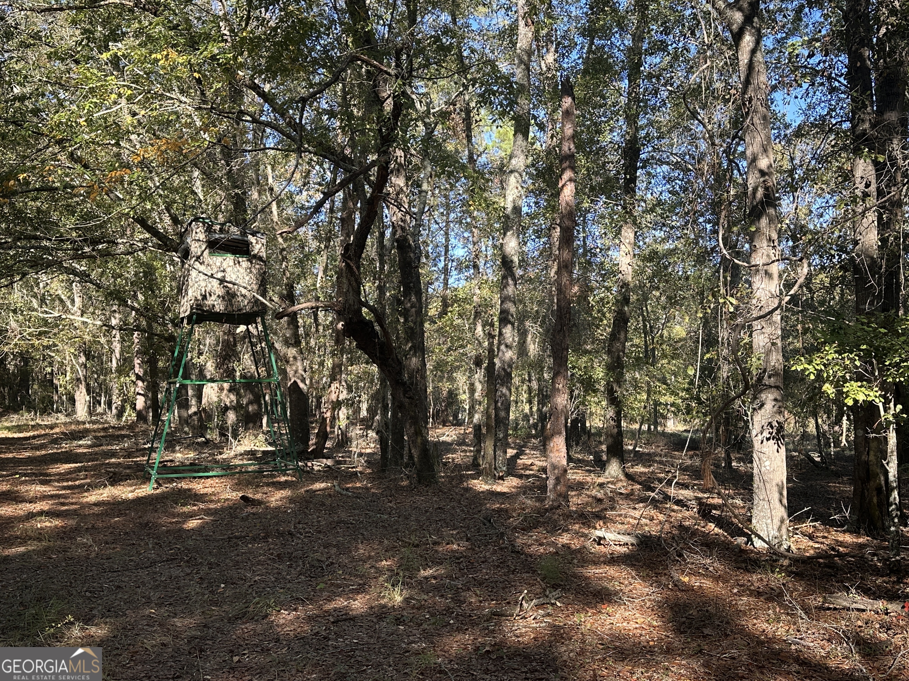 0 Buck Creek Road Sylvania, GA 30467 - Photo 12 of 18