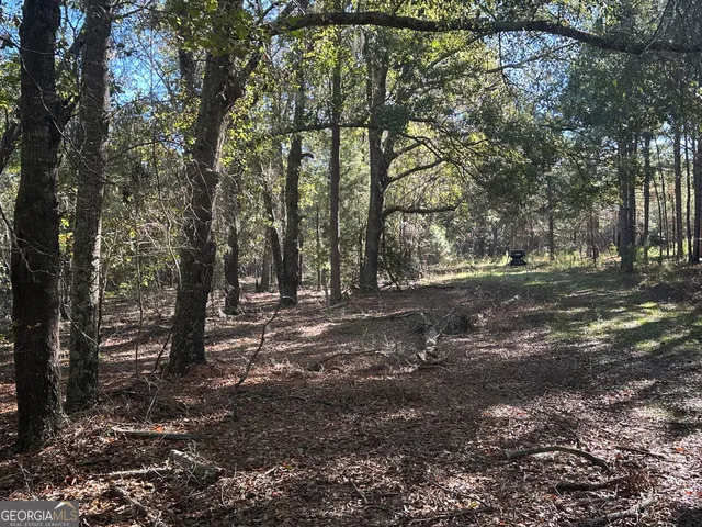 a view of a covered with snow in the background