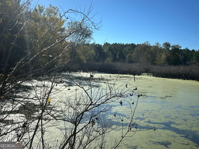 a big yard with lots of green space and trees