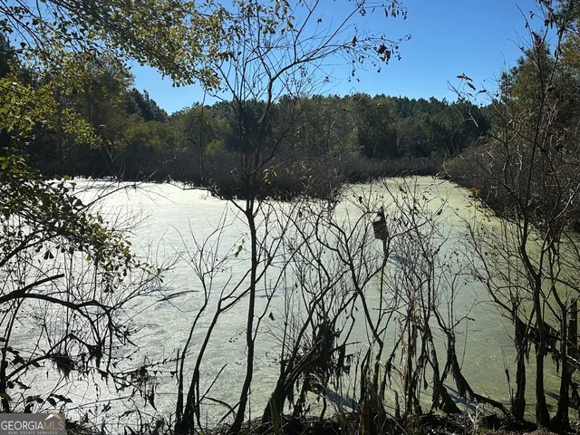 $425,400 | 0 Buck Creek Road, Sylvania, GA 30467