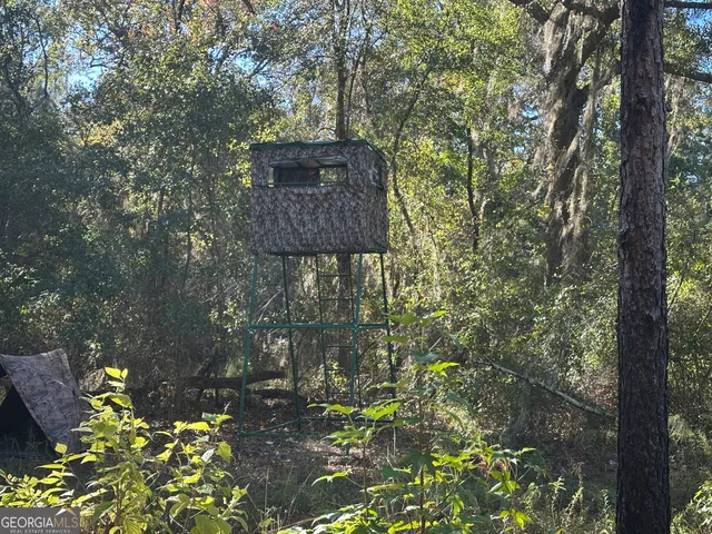 a view of a tree with a tree
