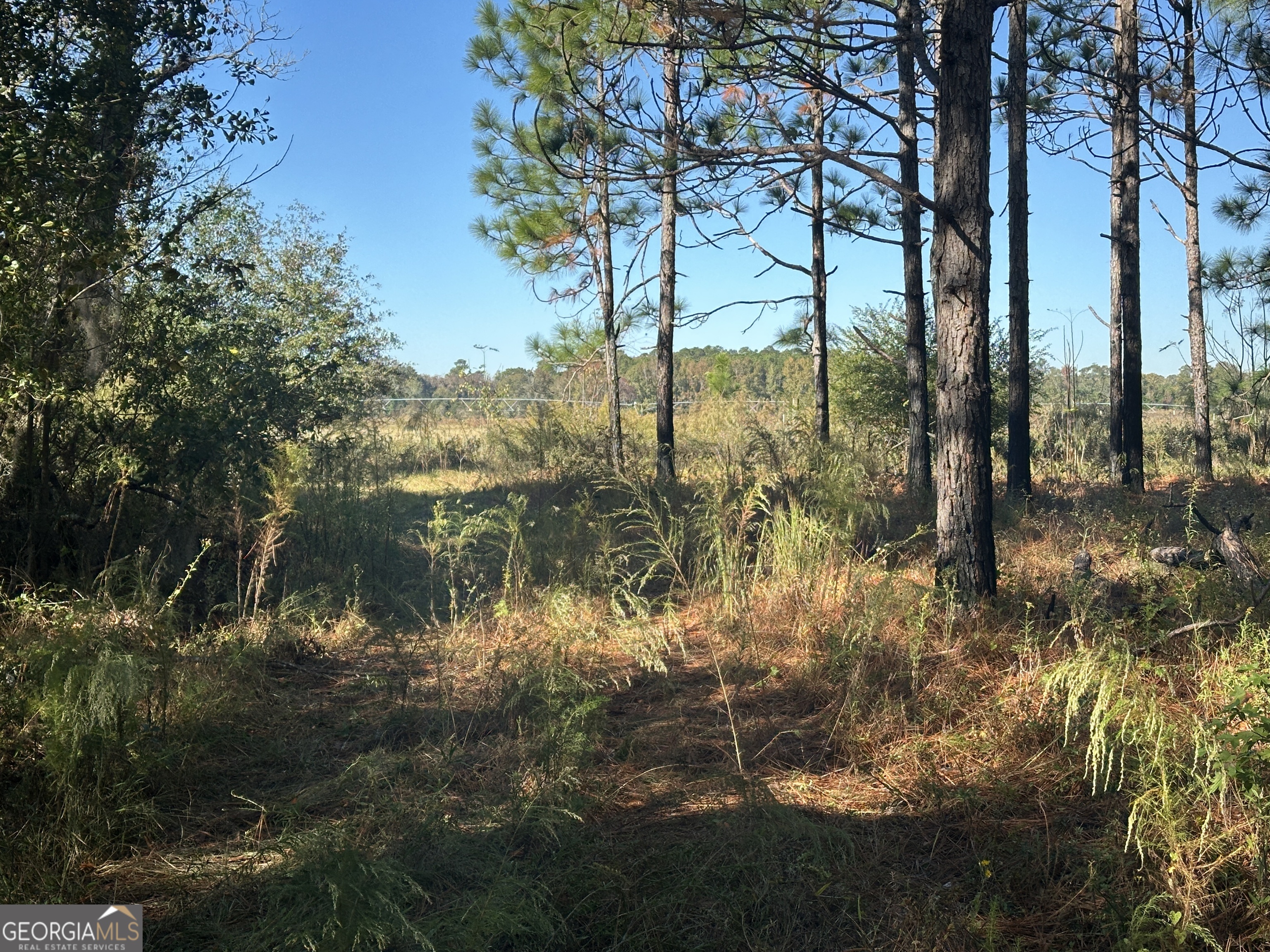 0 Buck Creek Road Sylvania, GA 30467 - Photo 6 of 18 a view of lake from a lake