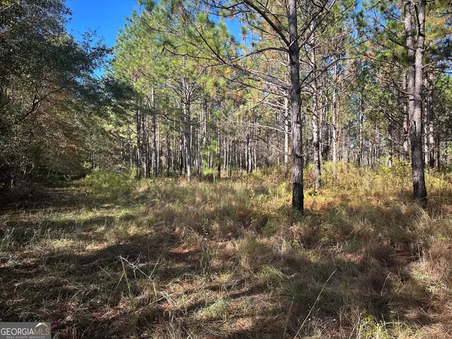 a view of outdoor space with a yard