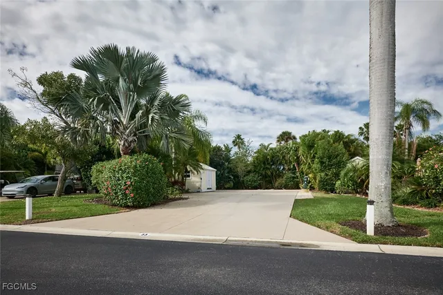 a view of a yard with potted plants and palm trees