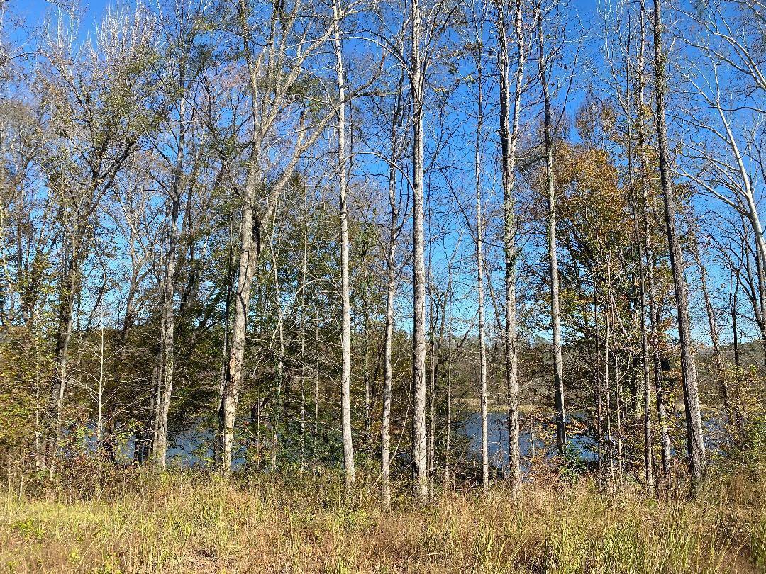 Franklin Road Quinton, AL 35130 - Photo 1 of 4 Gallery Image 1