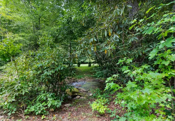 $599,000 | 305 Tusquittee Street, Hayesville, NC 28904