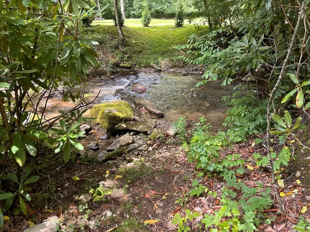 $599,000 | 305 Tusquittee Street, Hayesville, NC 28904