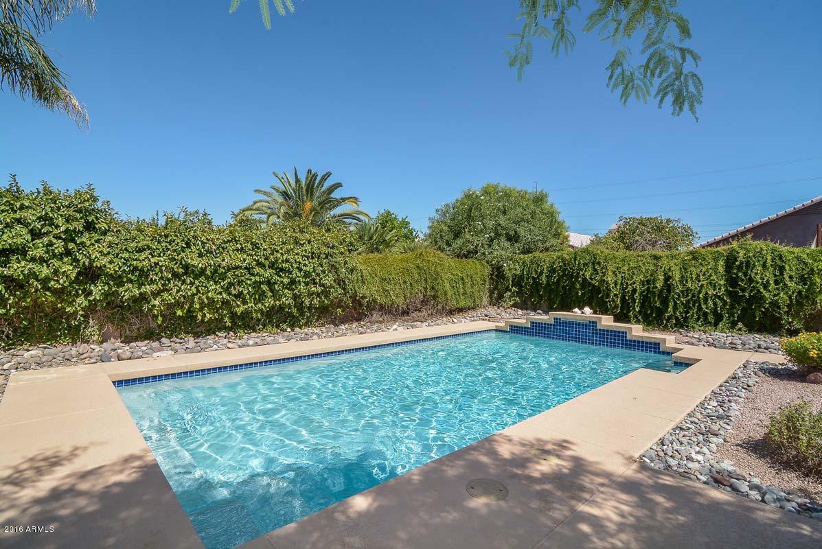 2836 East Wagoner Road Phoenix, AZ 85032 - Photo 4 of 26 Great Summer Fun!