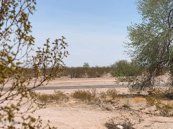 a view of a yard covered with snow in front of house