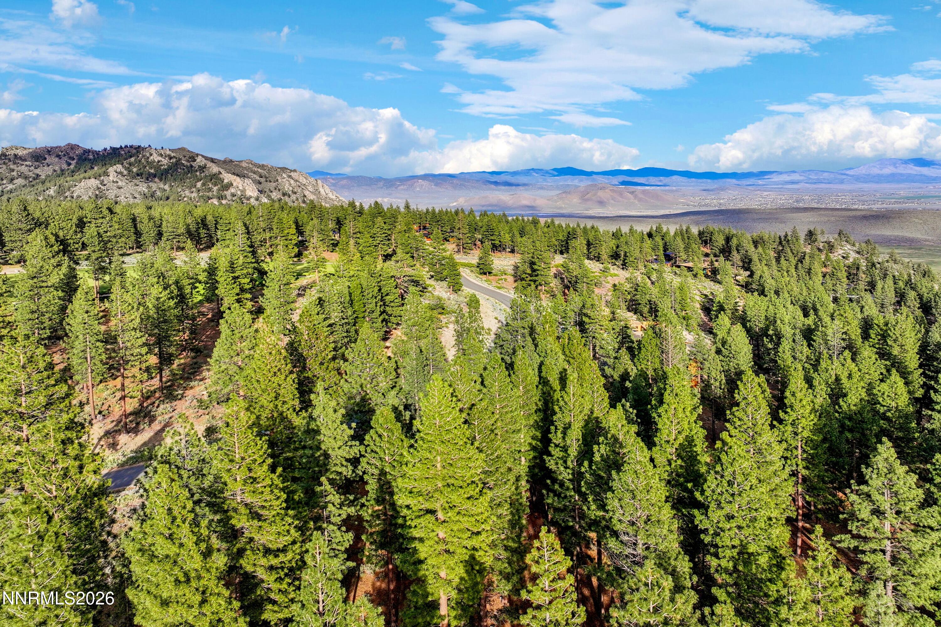 3544 Knob Point Trail Carson City, NV 89705 - Photo 16 of 26 a view of a yard with an outdoor seating