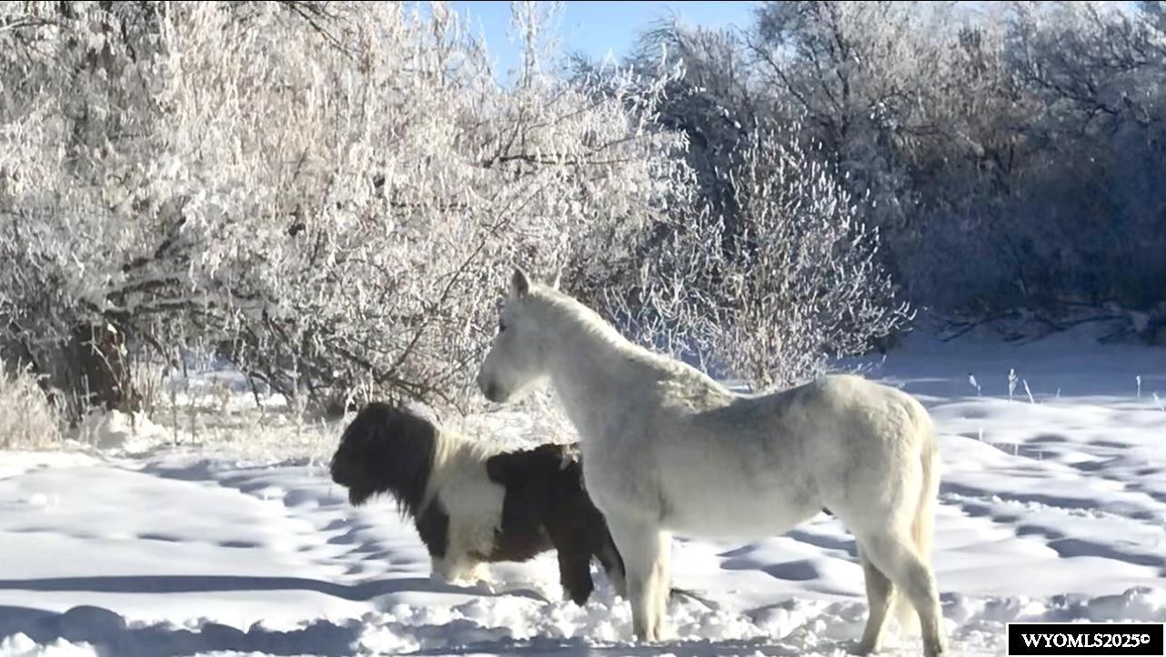 675 Burma Road Riverton, WY 82501 - Photo 43 of 43