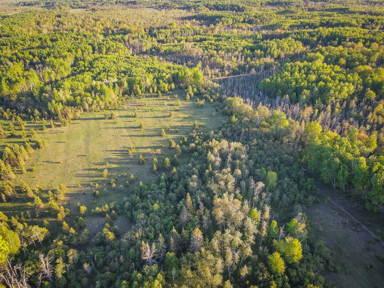V/l V/l 33rd Road Gladstone, MI 49837 - Photo 8 of 70