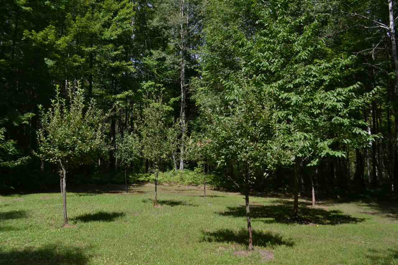 8665 Saunders Road Sterling, MI 48659 - Photo 7 of 45