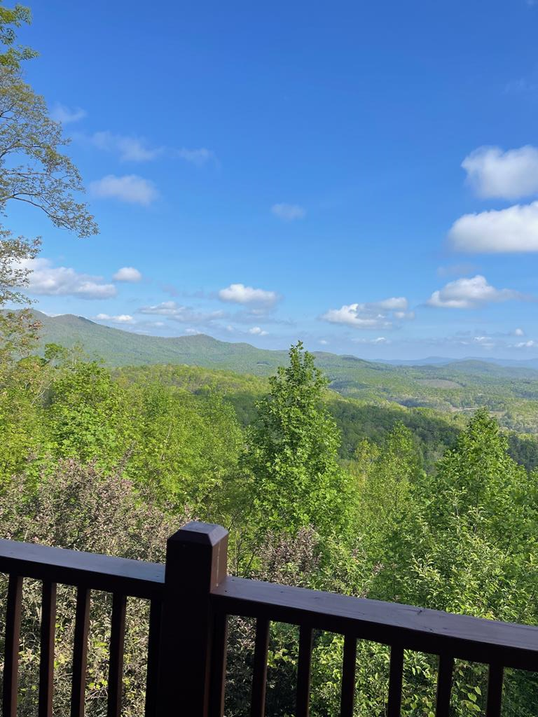 1013 Buck Ridge Drive Murphy, NC 28906 - Photo 10 of 34 a view of a forest from a balcony