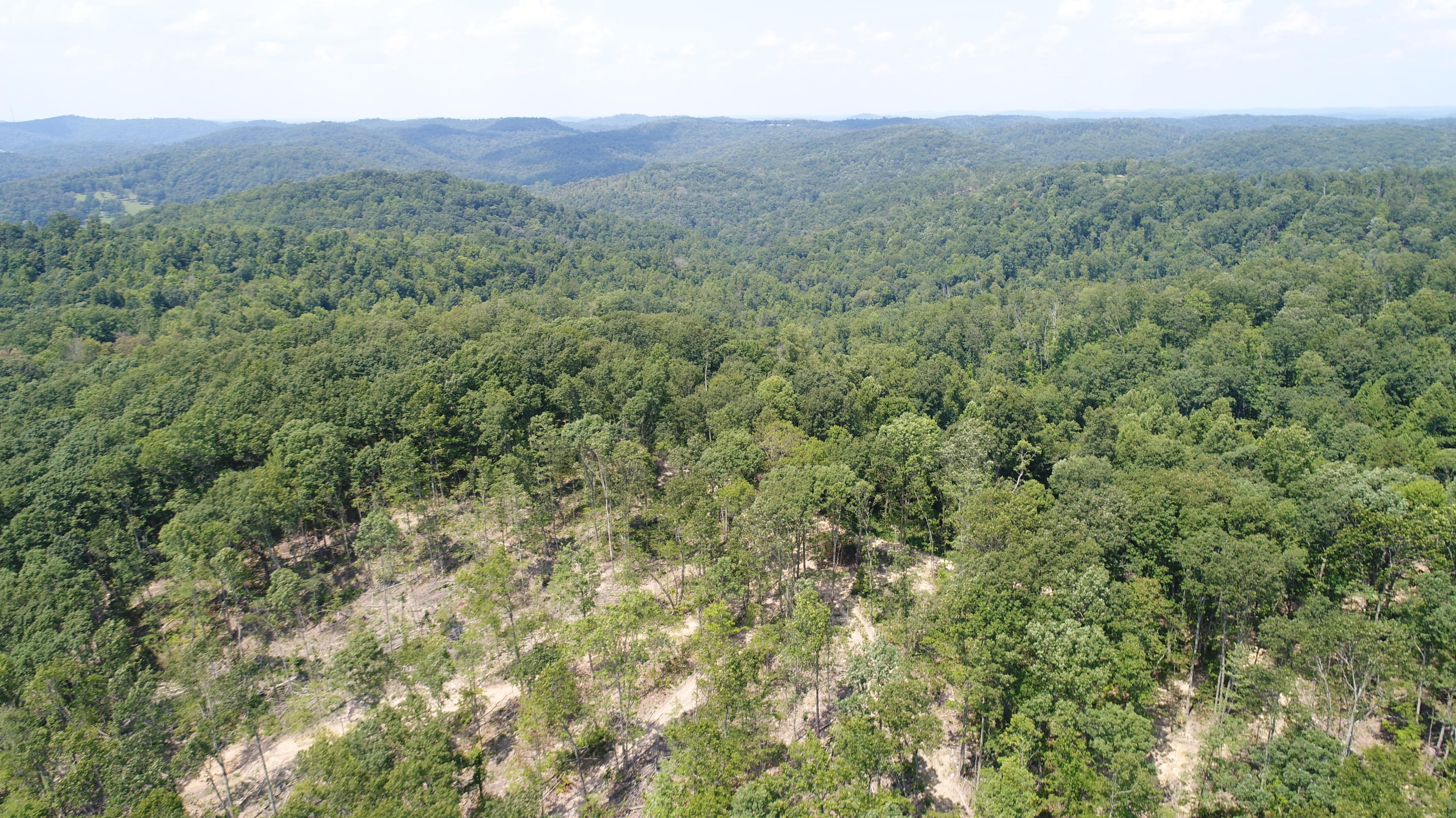 3006 Piney Grove Road Somerset, KY 42501 - Photo 52 of 52 DJI_0651
