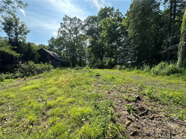 a backyard of a house with lots of green space