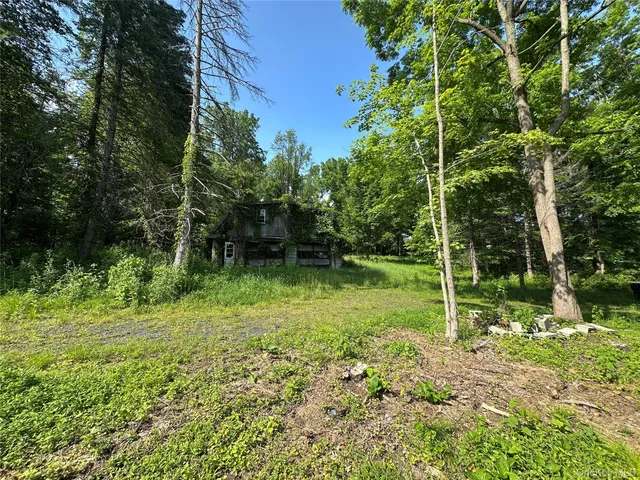 a view of backyard with green space