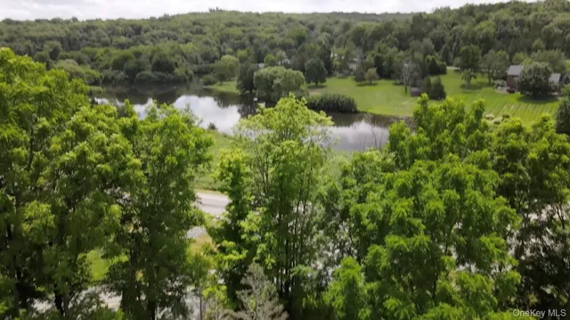 a view of a lush green forest with lawn chairs and a couple of flower plants
