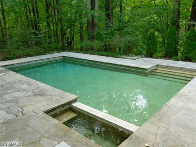4310 Cold Springs Road Winston-Salem, NC 27104 - Photo 15 of 16 Swimming Pool/Hot Tub/Sauna.