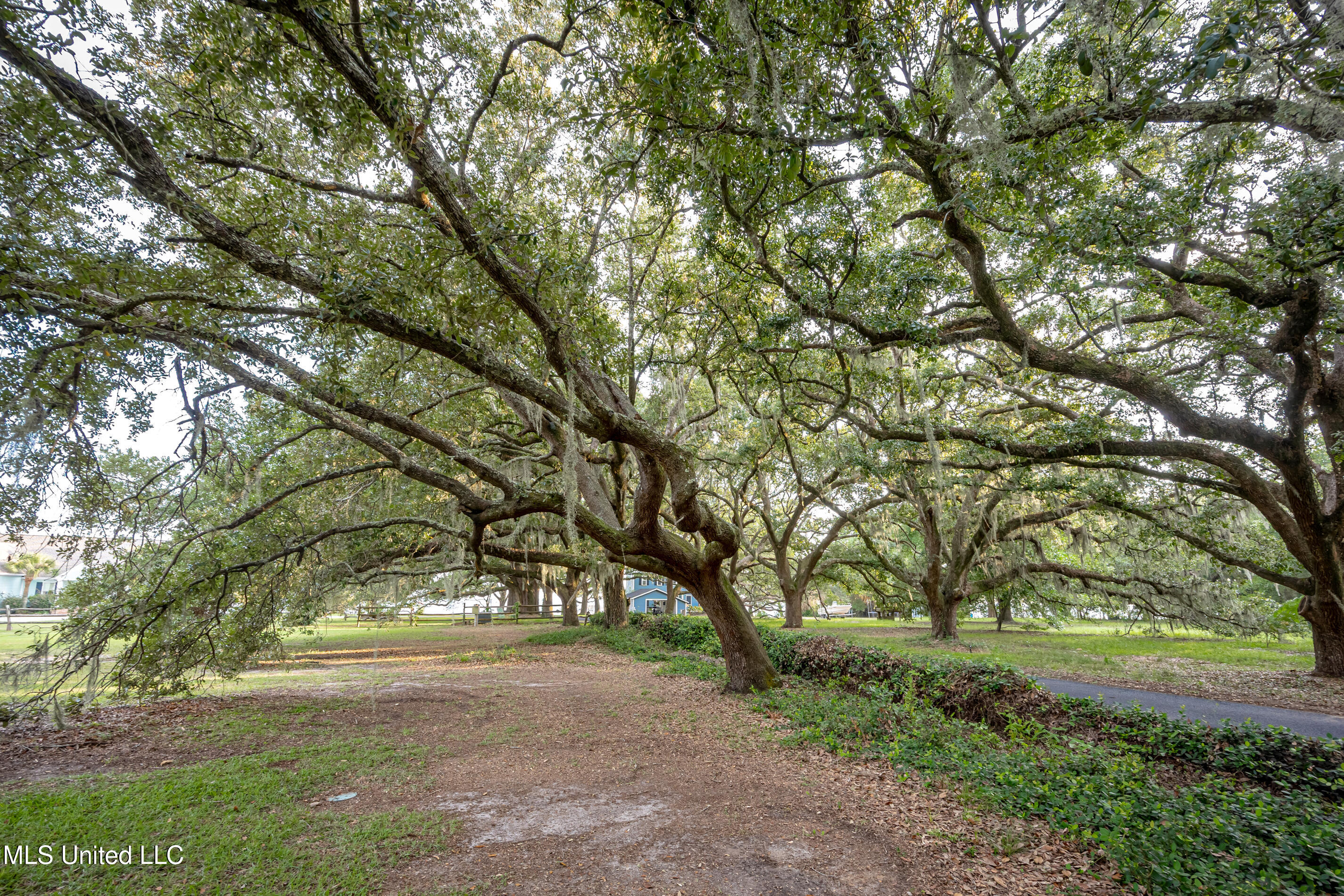 Lot 8 Pointe Aux Chenes Road Ocean Springs, MS 39564 - Photo 11 of 30 5F5A5175-2