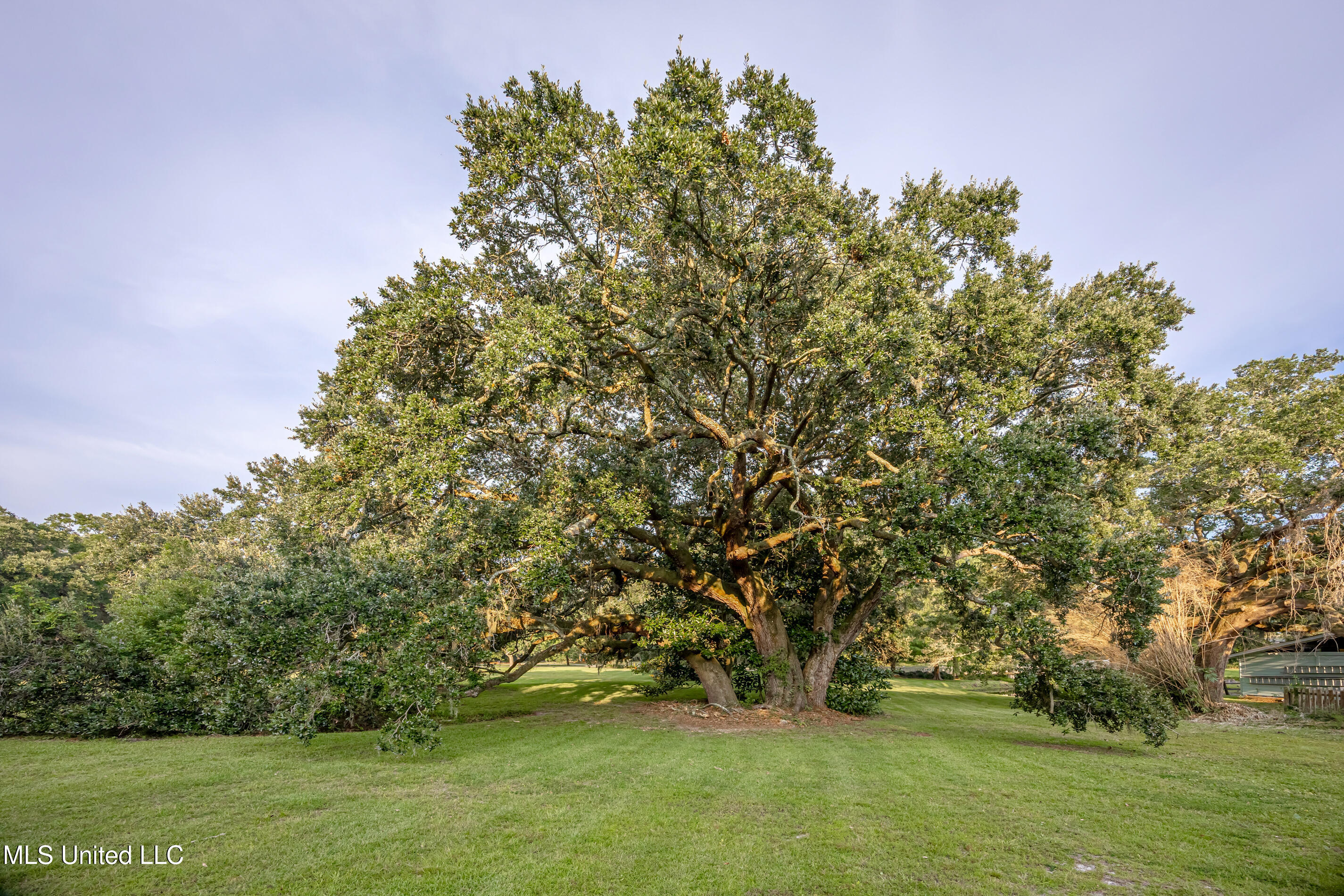Lot 8 Pointe Aux Chenes Road Ocean Springs, MS 39564 - Photo 14 of 30 5F5A5184-2