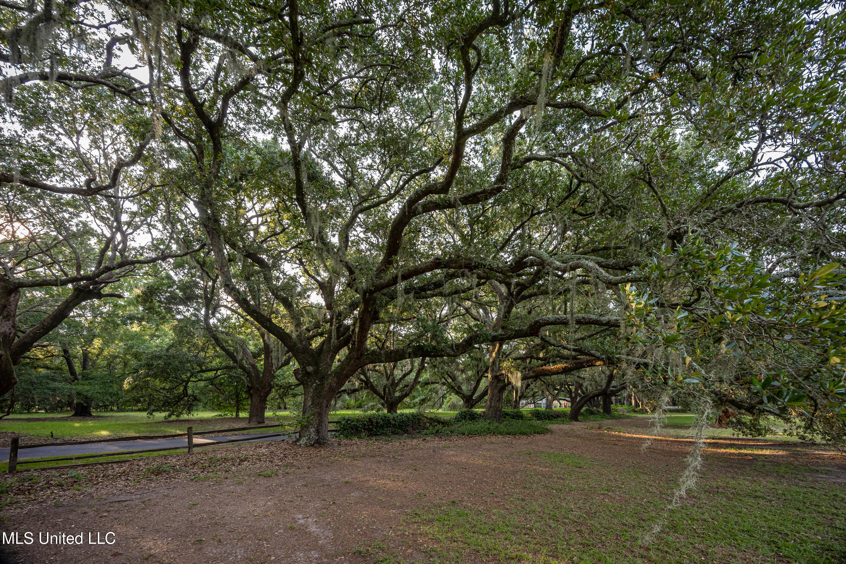 Lot 8 Pointe Aux Chenes Road Ocean Springs, MS 39564 - Photo 16 of 30 5F5A5199-2
