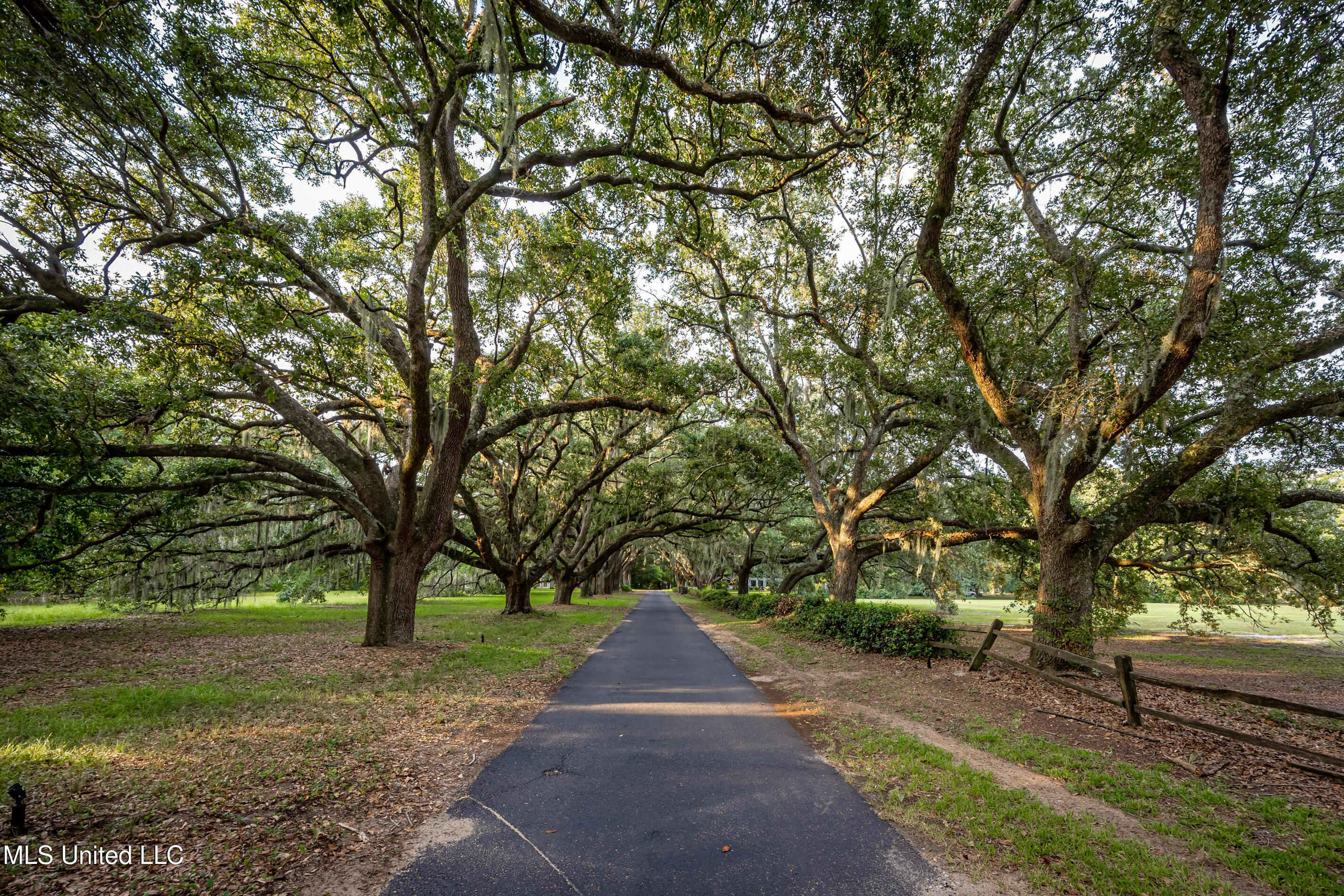 Lot 8 Pointe Aux Chenes Road Ocean Springs, MS 39564 - Photo 18 of 30 5F5A5211-2