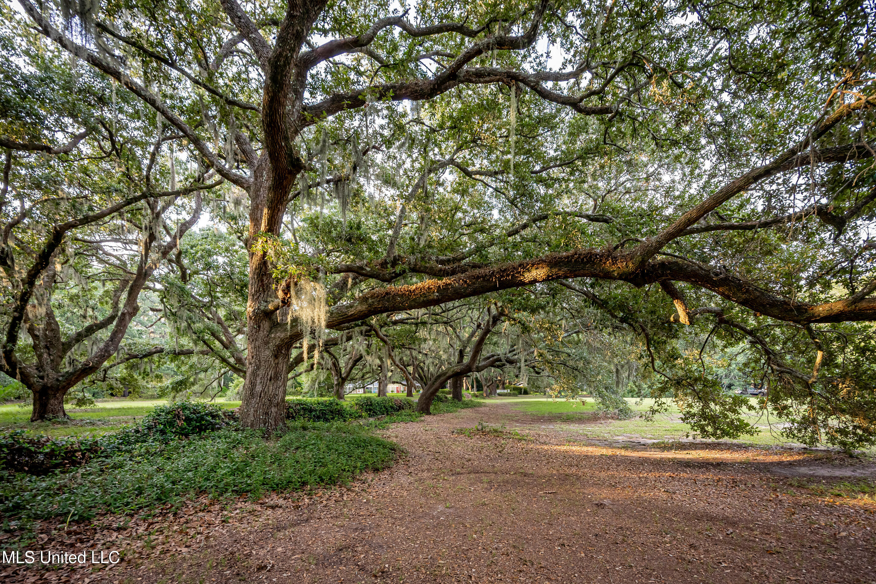 Lot 8 Pointe Aux Chenes Road Ocean Springs, MS 39564 - Photo 19 of 30 5F5A5217-2