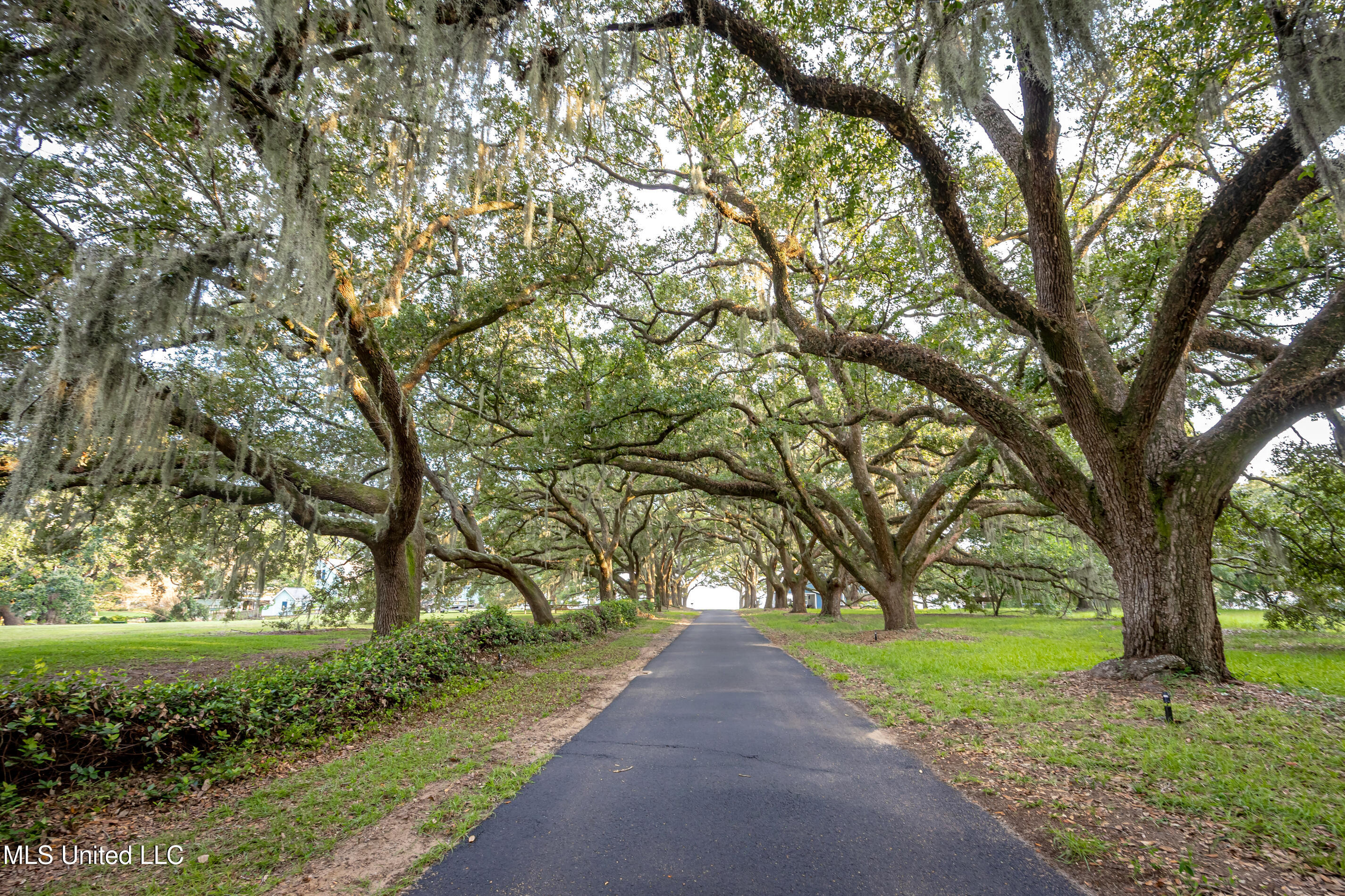 Lot 8 Pointe Aux Chenes Road Ocean Springs, MS 39564 - Photo 4 of 30 5F5A5166-2