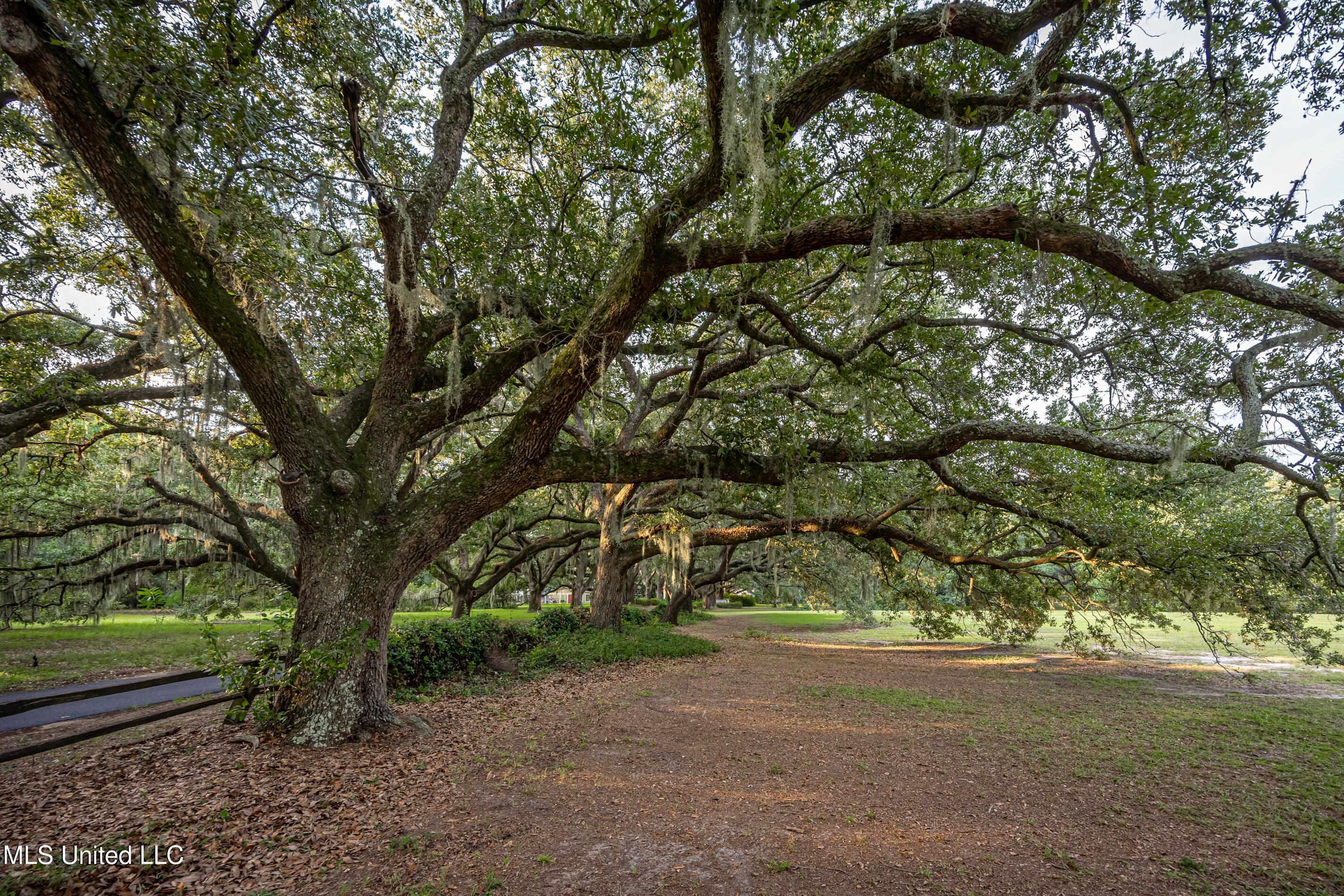 Lot 8 Pointe Aux Chenes Road Ocean Springs, MS 39564 - Photo 5 of 30 5F5A5205-2