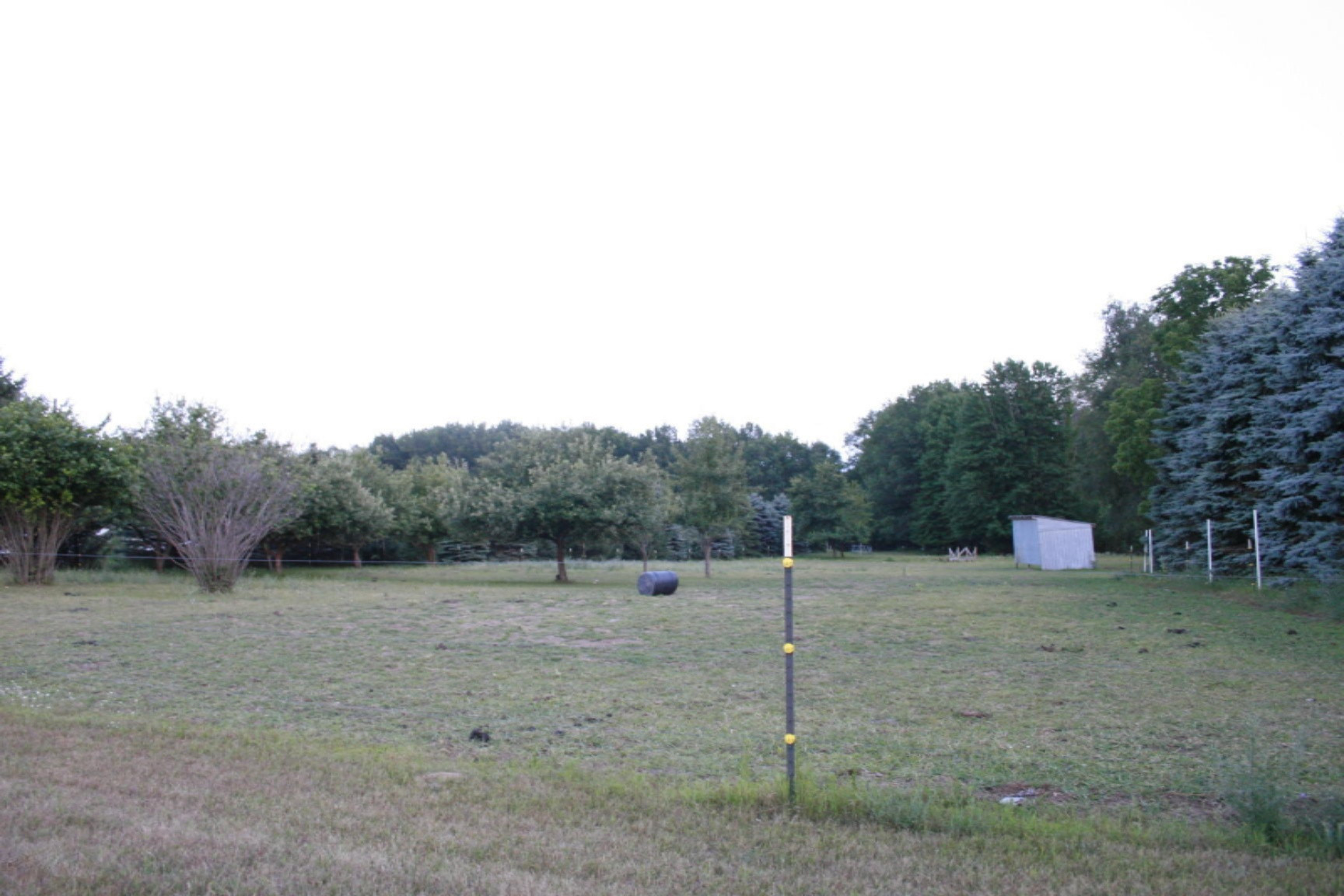 3993 West Waterwheel Road Northwest Stanton, MI 48888 - Photo 7 of 20 _MG_4612 - Copy