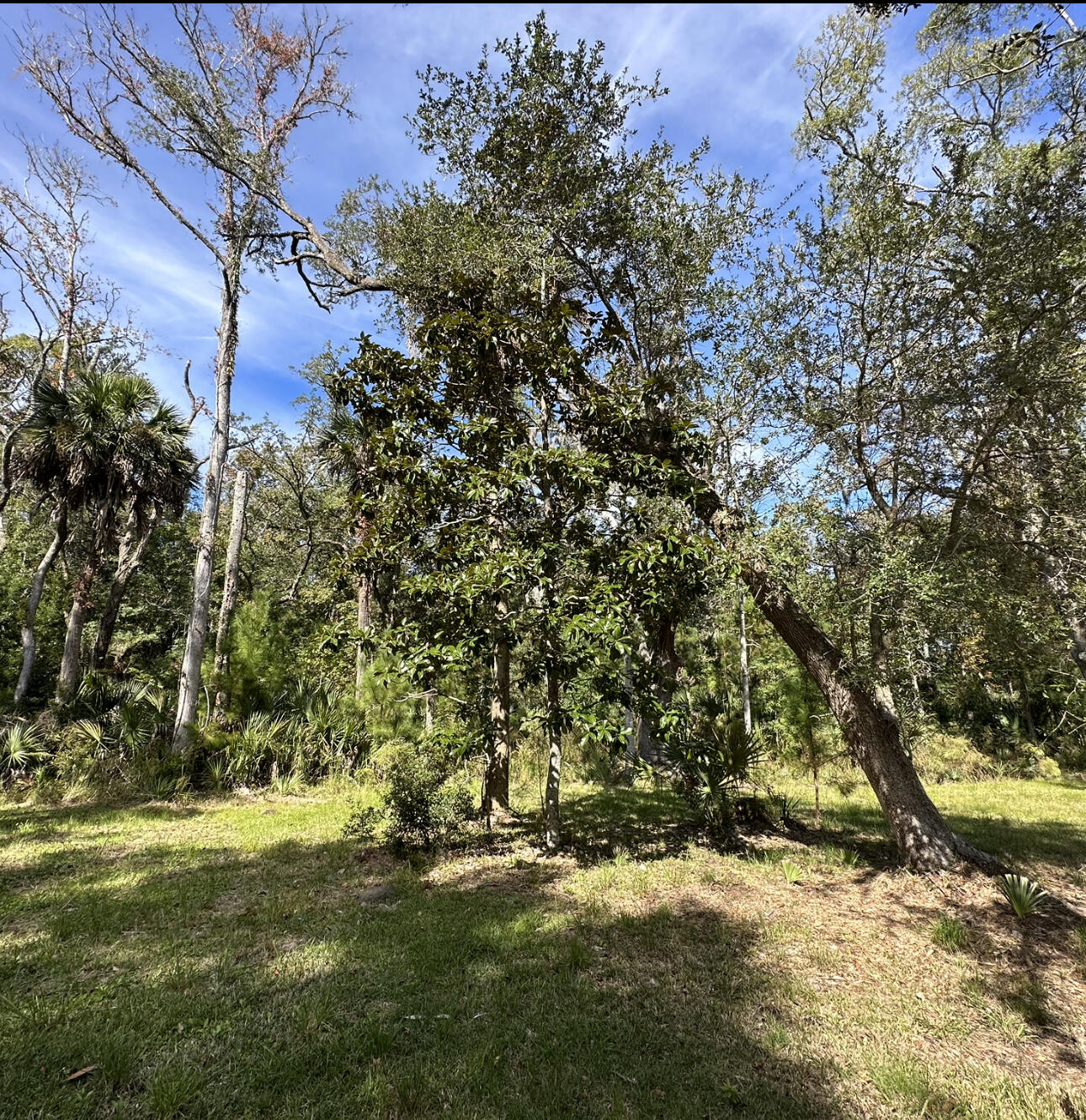 8286 Oyster Factory Road Edisto Island, SC 29438 - Photo 17 of 23 8286 Oyster Factory Rd