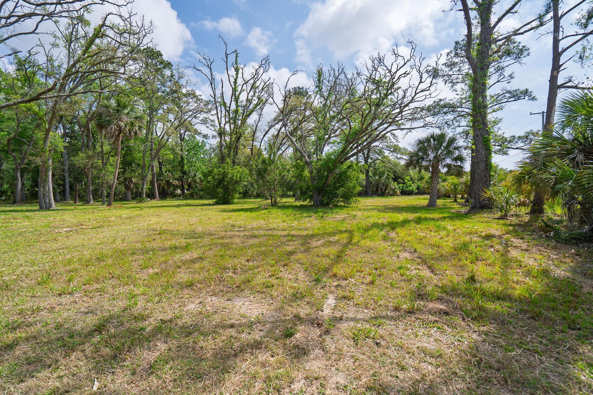 8286 Oyster Factory Road Edisto Island, SC 29438 - Photo 20 of 23 DSC1423