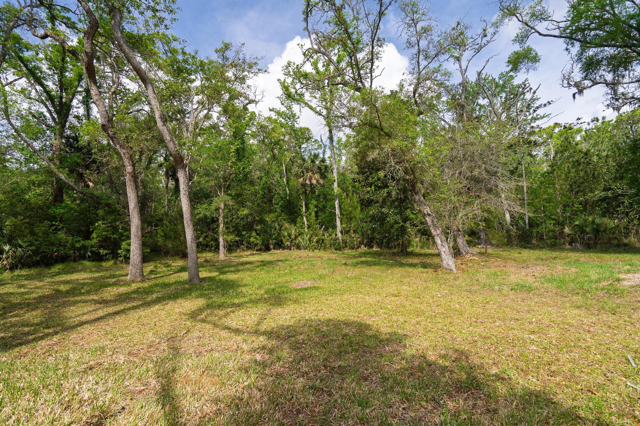 8286 Oyster Factory Road Edisto Island, SC 29438 - Photo 21 of 23 DSC1424