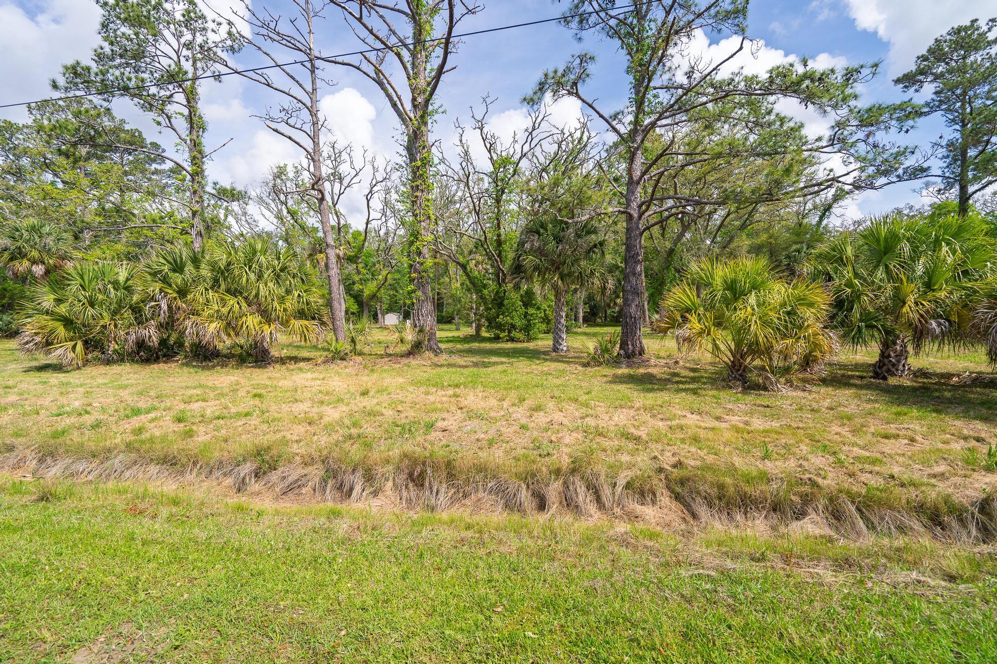 8286 Oyster Factory Road Edisto Island, SC 29438 - Photo 23 of 23 DSC01417