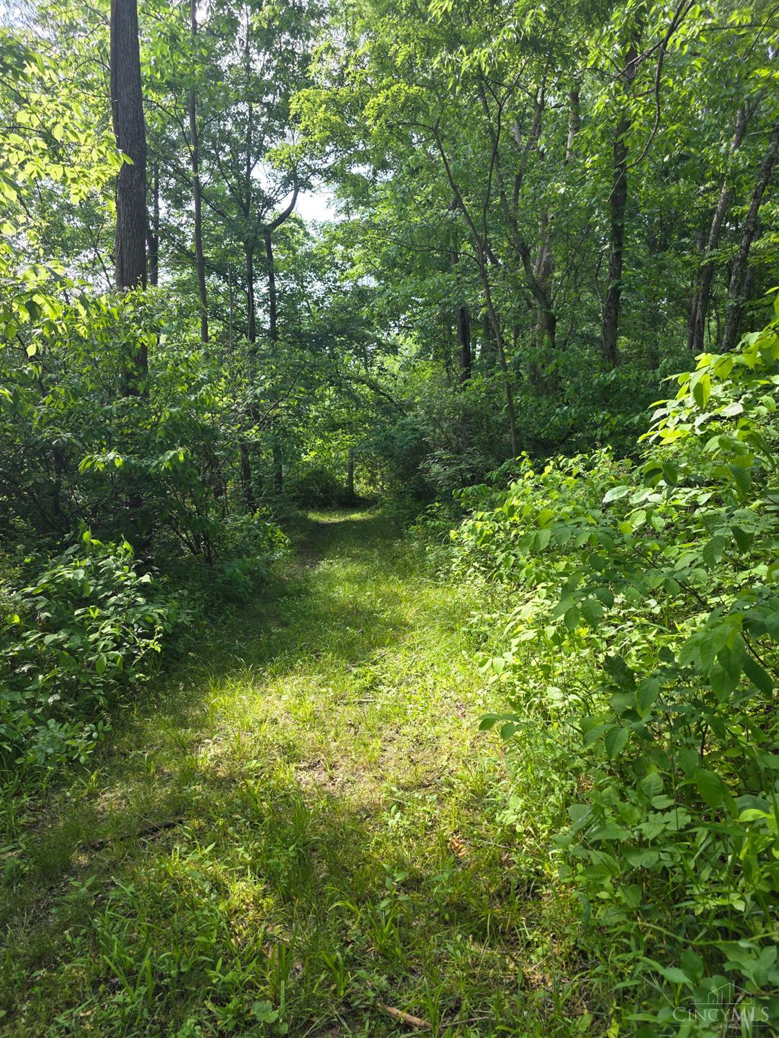 0 Fagins Run Road New Richmond, OH 45157 - Photo 16 of 28
