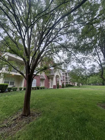 a large tree in middle of the green field