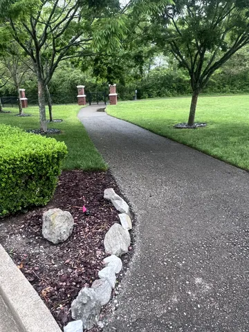 a view of a park with of a trees